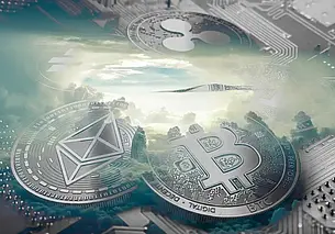 Предприниматель из Могилева стал жертвой лжетрейдеров