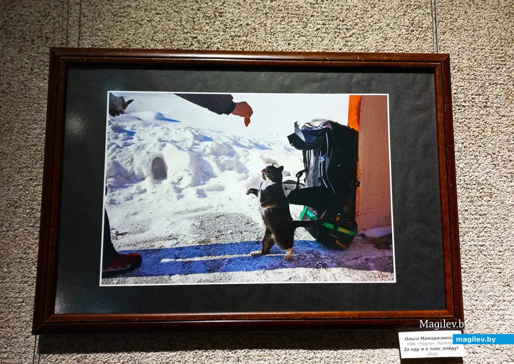 Выставка «Зимние забавы». Могилев, областной краеведческий музей имени Евдокима Романова, 08.12.2023 г.