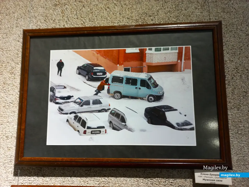 Выставка «Зимние забавы». Могилев, областной краеведческий музей имени Евдокима Романова, 08.12.2023 г.