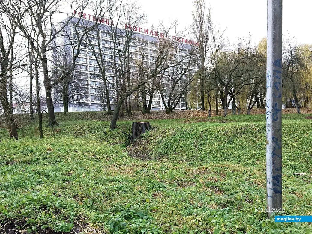 Остался один пенек. Могилев, 2023 г. Фото Александра Капенкина.