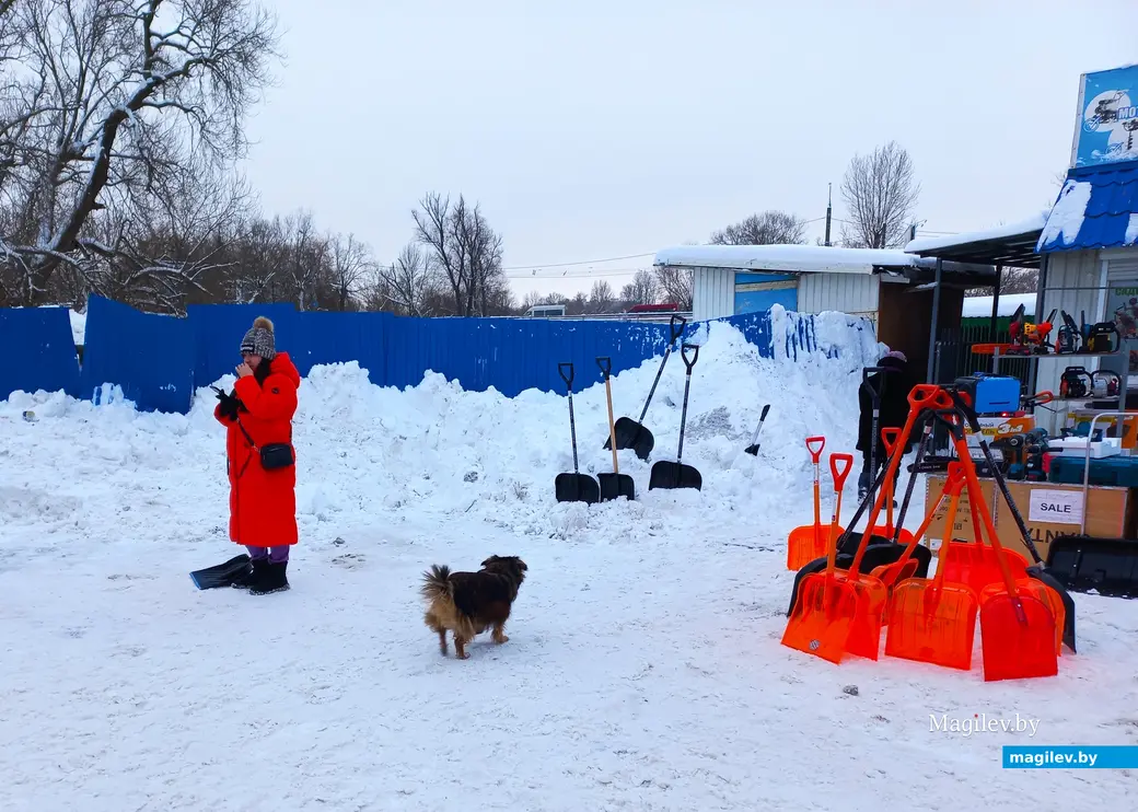 Могилев, Быховский базар, 10.12.2023 г.