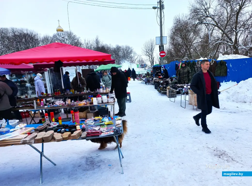 Могилев, Быховский базар, 10.12.2023 г.