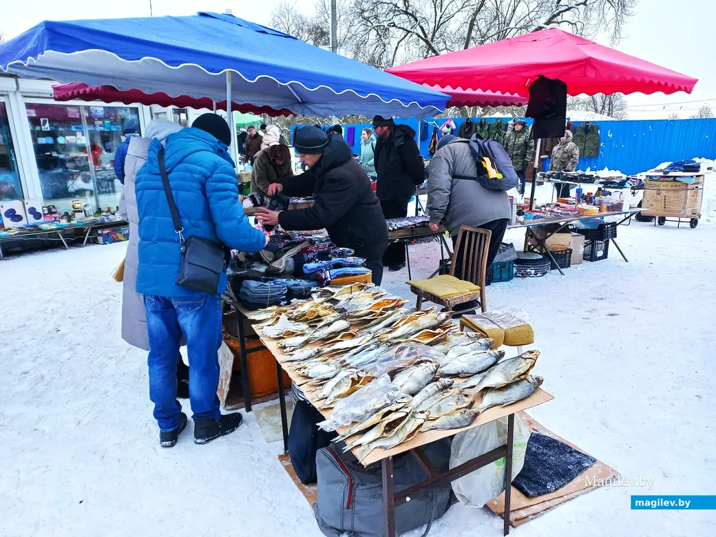 Могилев, Быховский базар, 10.12.2023 г.