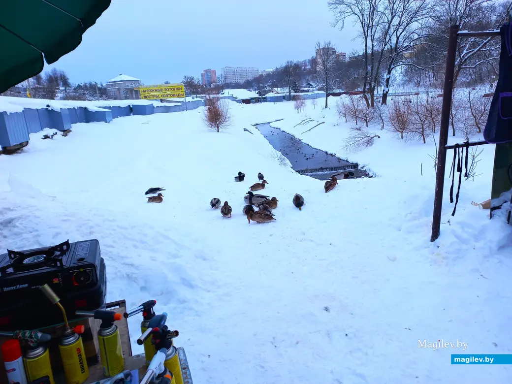 Могилев, Быховский базар, 10.12.2023 г.