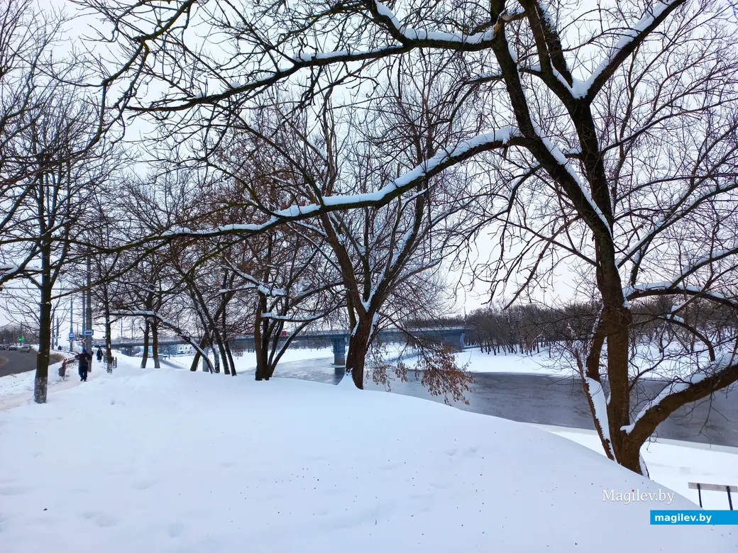 Могилев, Быховский базар, 10.12.2023 г.