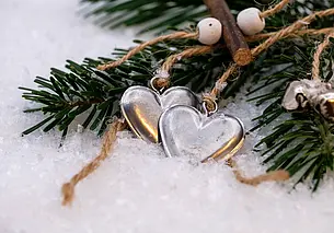 Могилевчанам рассказали, во сколько обойдется незаконно спиленная елка. Цифры внушительные