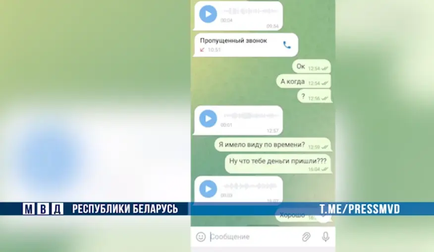 Скан с видео ТГ-канала МВД Беларуси