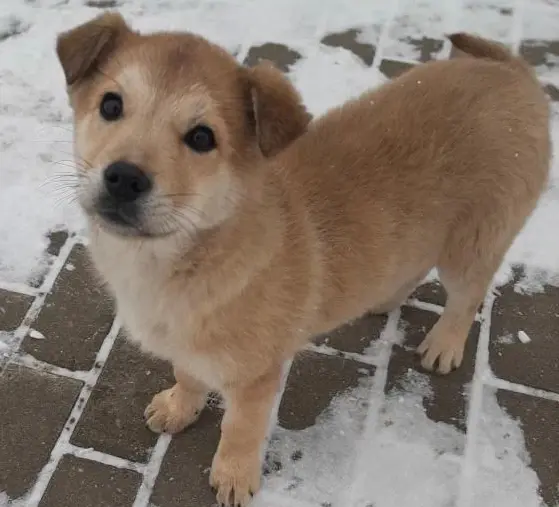 Прекрасный пупс.