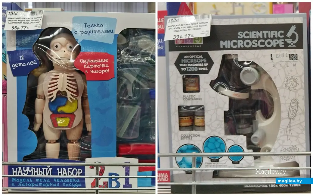 Декабрь 2023 г. Могилев. Цены на игрушки.