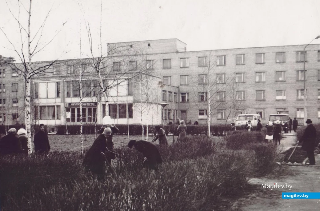 1970-е годы 20 века. Бобруйск. Благоустройство территории городской больницы СМП.