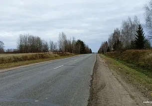 Житель Мстиславля подобрал на дороге погибшую косулю и увез ее домой: ему грозит до 3 лет лишения свободы