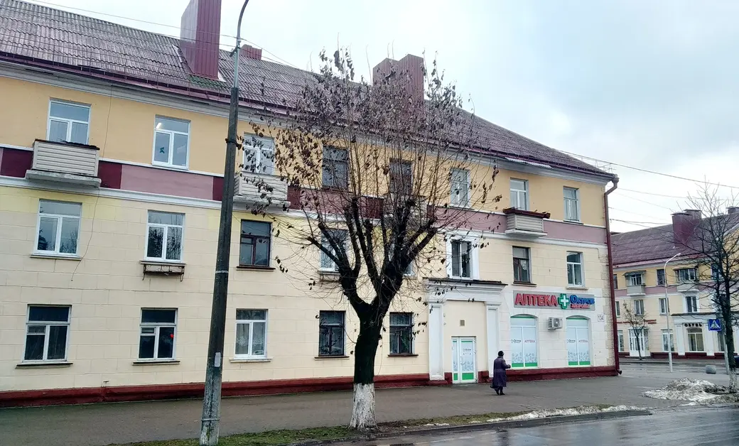 Декабрь 2023. Бобруйск. Необлетевший тополь на Социалистической.