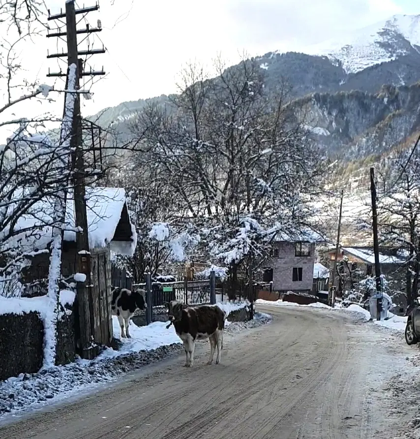Новый год в Сванетии, Грузия.