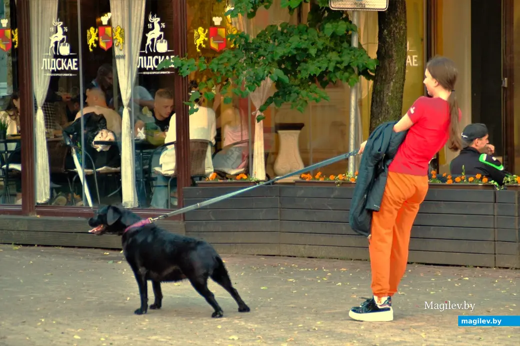 «Дама с собачкой» (вторая премия) Валерия Москалева. Могилев, 2022 г.