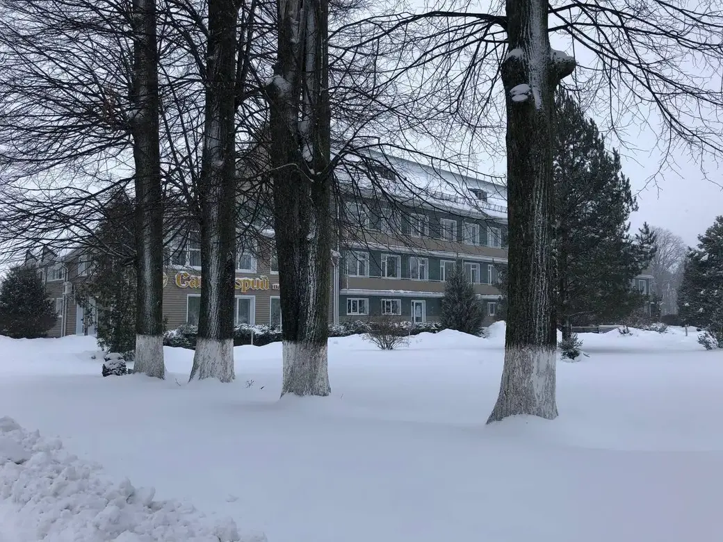 14.12.2023. Все вокруг белым-бело.