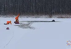 Спасатели пришли на помощь тонущему лосю в Миорском районе. Видео
