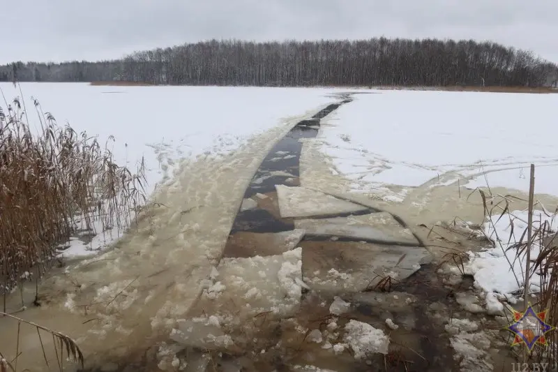 24 декабря 2023 года в Миорском районе спасатели помогли выбраться провалившемуся под лед лосю. Фото: МЧС.