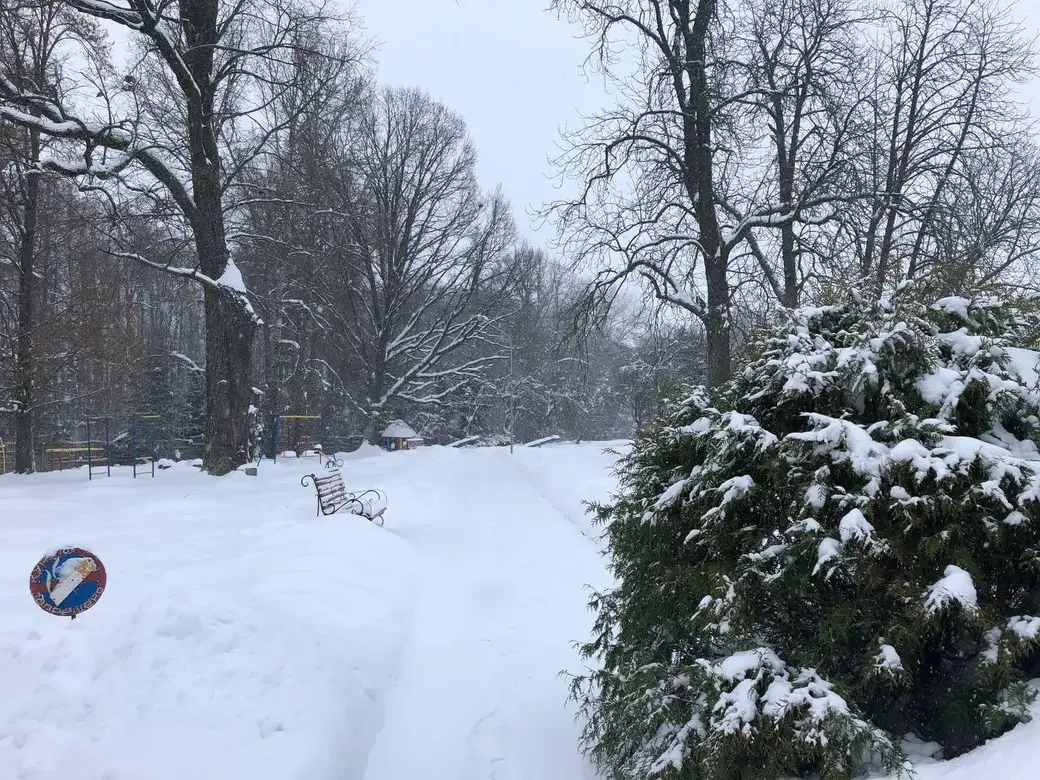 14.12.2023. Все вокруг белым-бело.