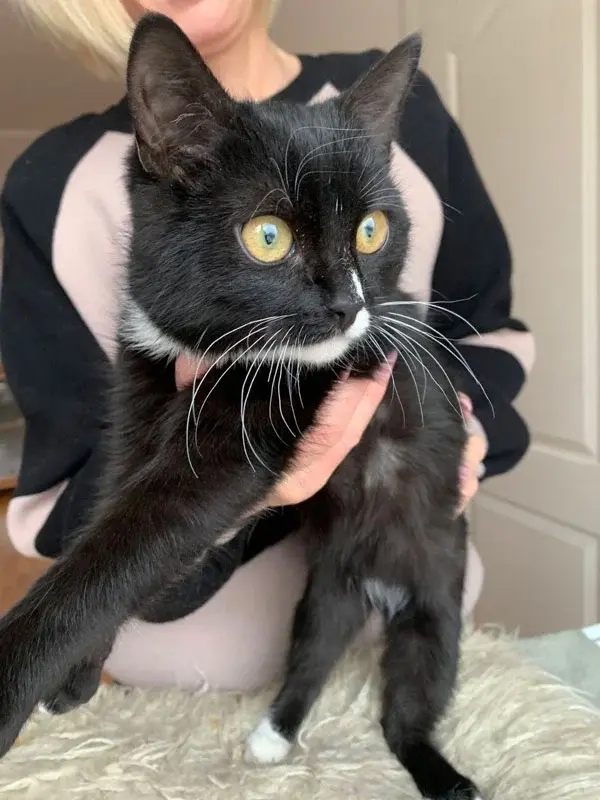 Маленький красавчик.