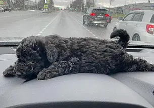 «Никогда не поздно совершать добрые дела, тем более под Новый год»