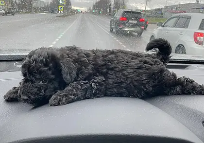 «Никогда не поздно совершать добрые дела, тем более под Новый год»