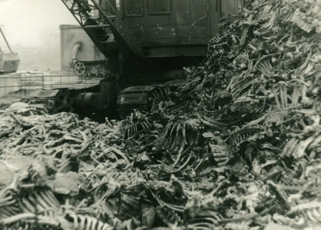 Желатиновый завод, находившийся рядом с Рабочим поселком. 1989-й год.