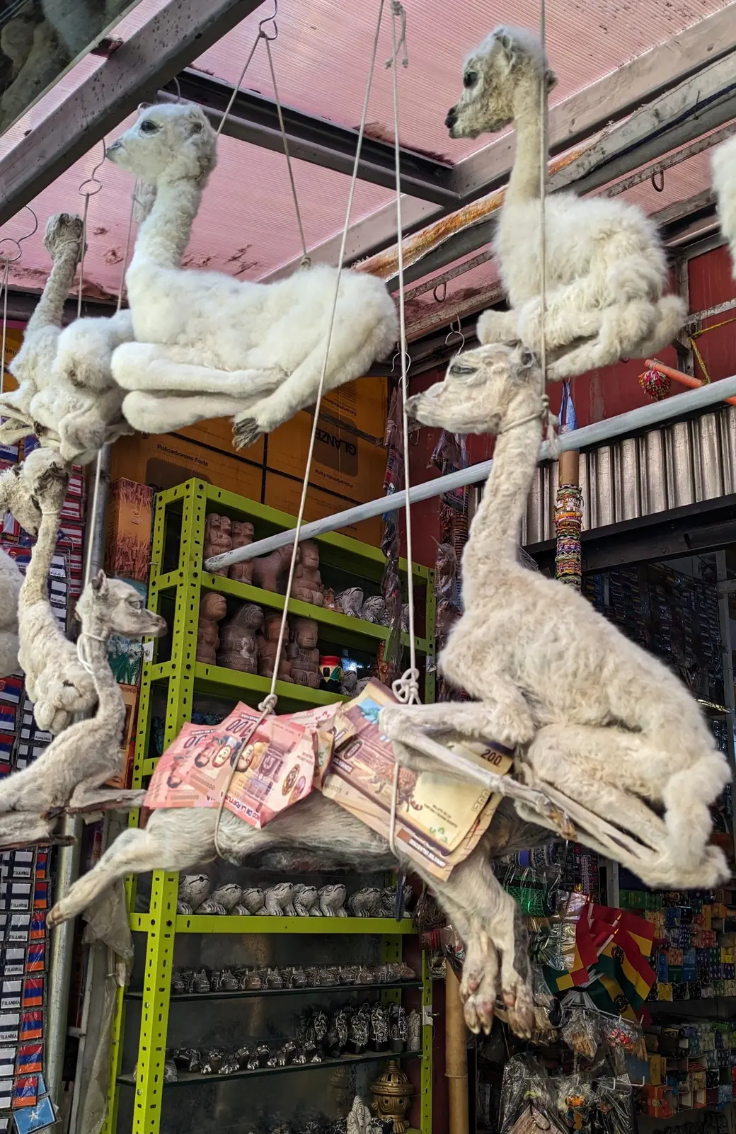 Рынок ведьм. Ла-Пас, Боливия. Октябрь 2023 г.