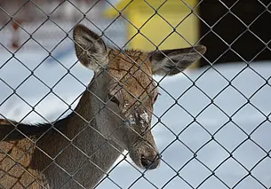 У охотников и рыболовов Беларуси появился Кодекс морально-этических норм