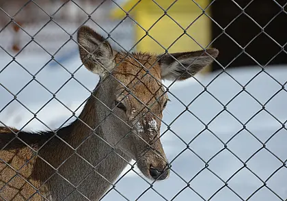 У охотников и рыболовов Беларуси появился Кодекс морально-этических норм