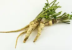 Этот напиток из корня петрушки поможет вывести из организма токсины. Простой рецепт