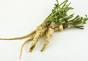 Этот напиток из корня петрушки поможет вывести из организма токсины. Простой рецепт