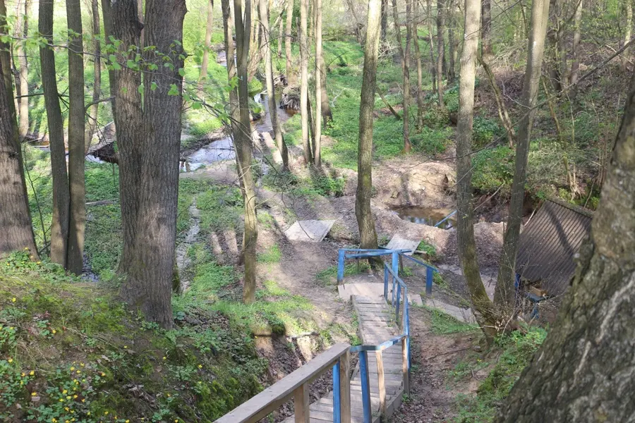 Дмитрий Акулич, председатель Чаусского райисполкома провел прямо у кринички рабочее совещание. Фото: chausynews.by