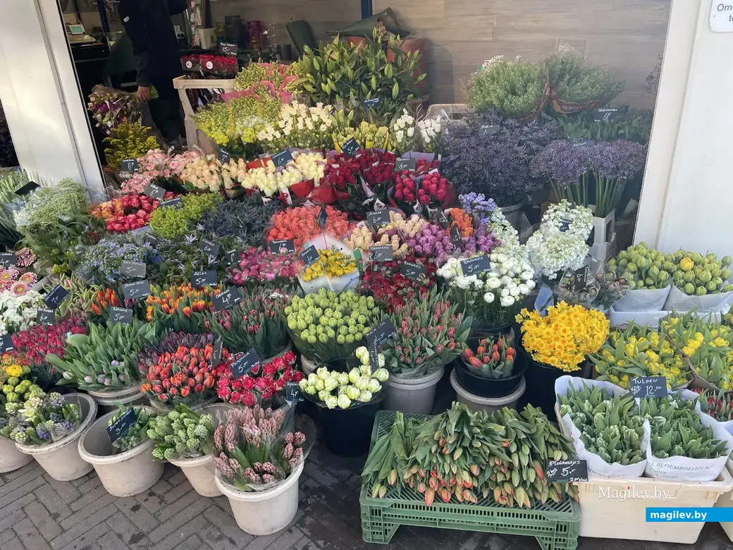 Голландия, Гаага. Апрель 2023 года.