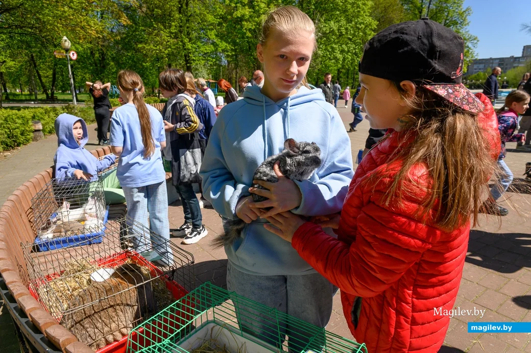 01.05.2023. Городской парк. Церемония награждения Бобруйским городским объединением профсоюзов