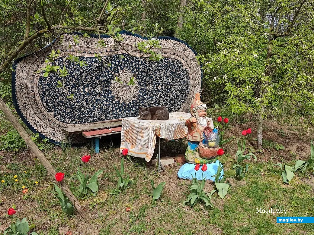 Путешествие одного дня. Как я обнималась с дубом, выбирала самовар и не  смогла пообедать | magilev.by