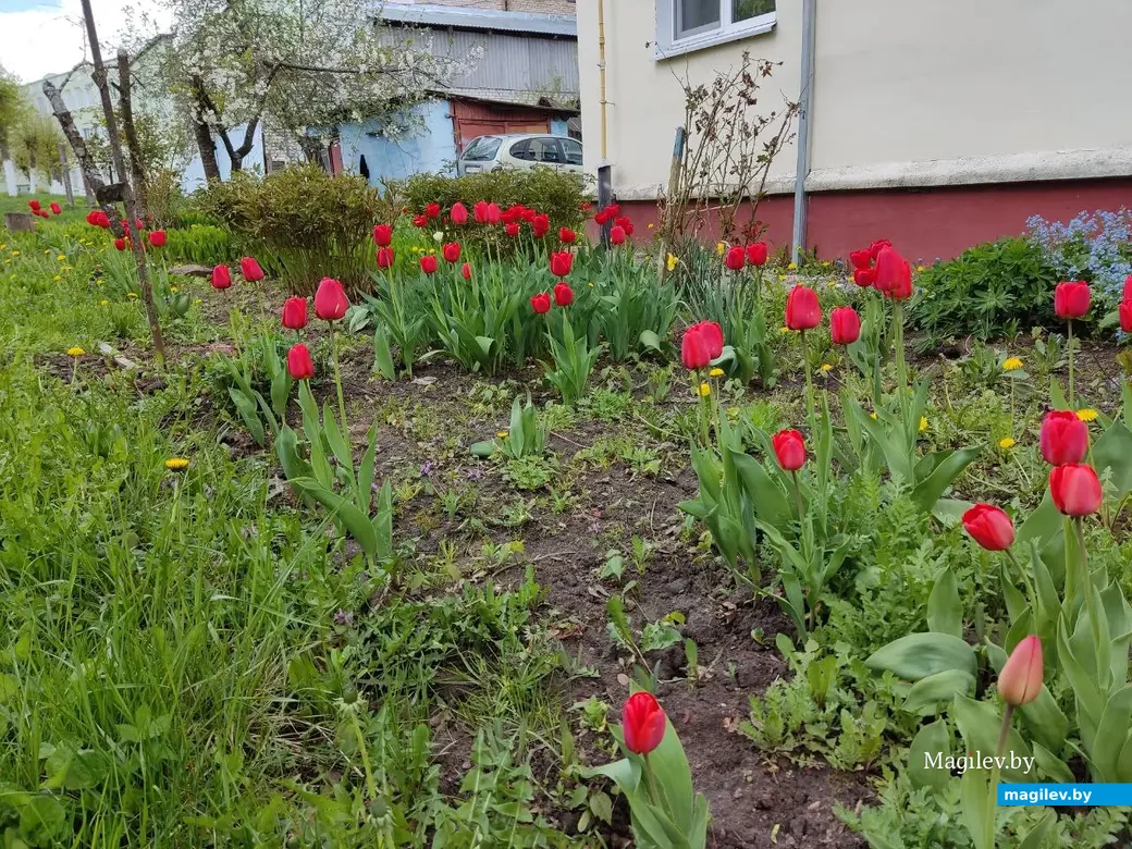 Агрогородок Дашковка, Могилевского района. 28.04.2023 г.