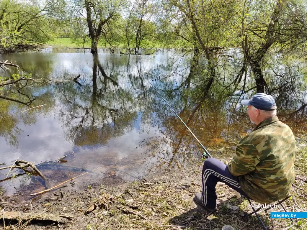 Когда-то это был усадебный парк. Дашковка, Могилевский район, 28.04.2023 г