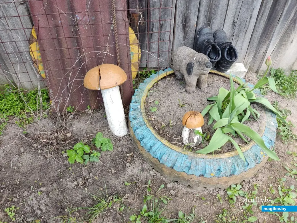 Агрогородок Дашковка, Могилевского района. 28.04.2023 г.