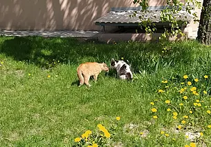 Ночью ожидаются заморозки до -5: прогноз погоды на 4-7 мая