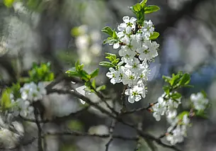 Погода порадует теплом на Пасху. Прогноз синоптиков на неделю