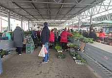 Что почем: Центральный рынок Могилева открыл «дачный сезон»