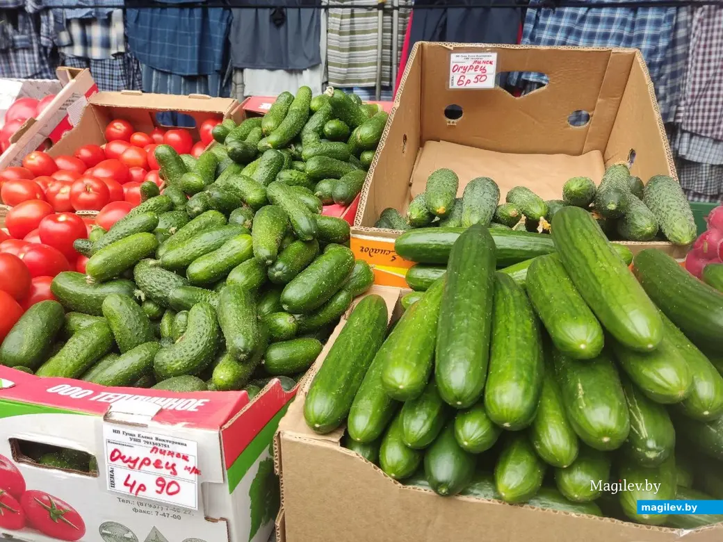Центральный (Минский) рынок. Могилев, 5.05.2023 г