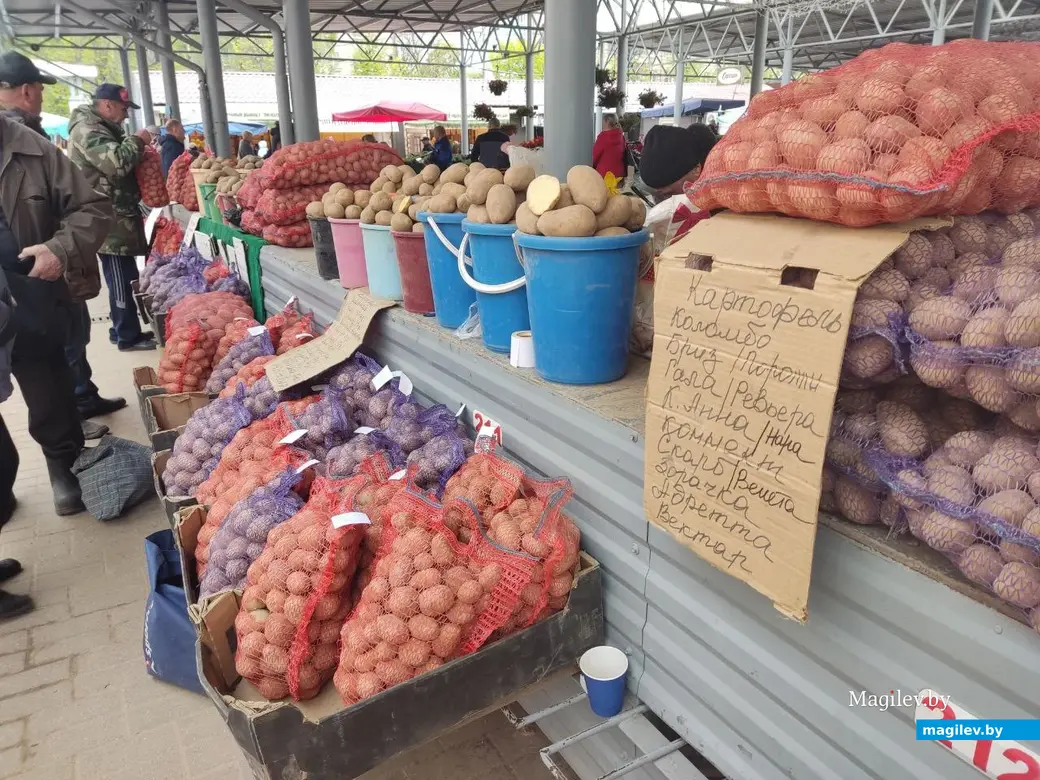 Центральный (Минский) рынок. Могилев, 5.05.2023 г