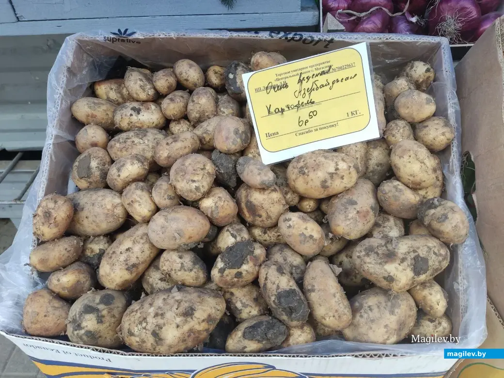 Центральный (Минский) рынок. Могилев, 5.05.2023 г