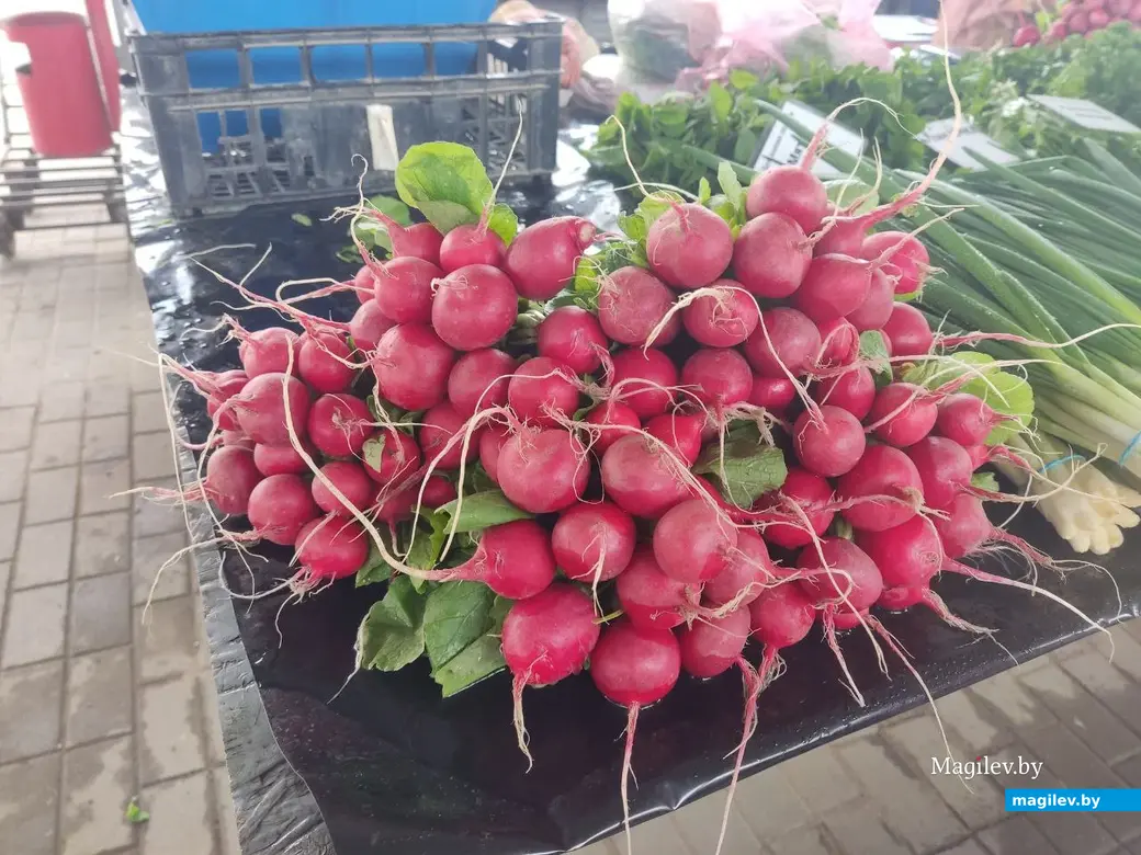 Центральный (Минский) рынок. Могилев, 5.05.2023 г