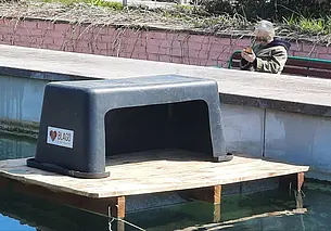 Вороны не заклюют! В фонтане в сквере 40-летия Победы появился «домик» для уток