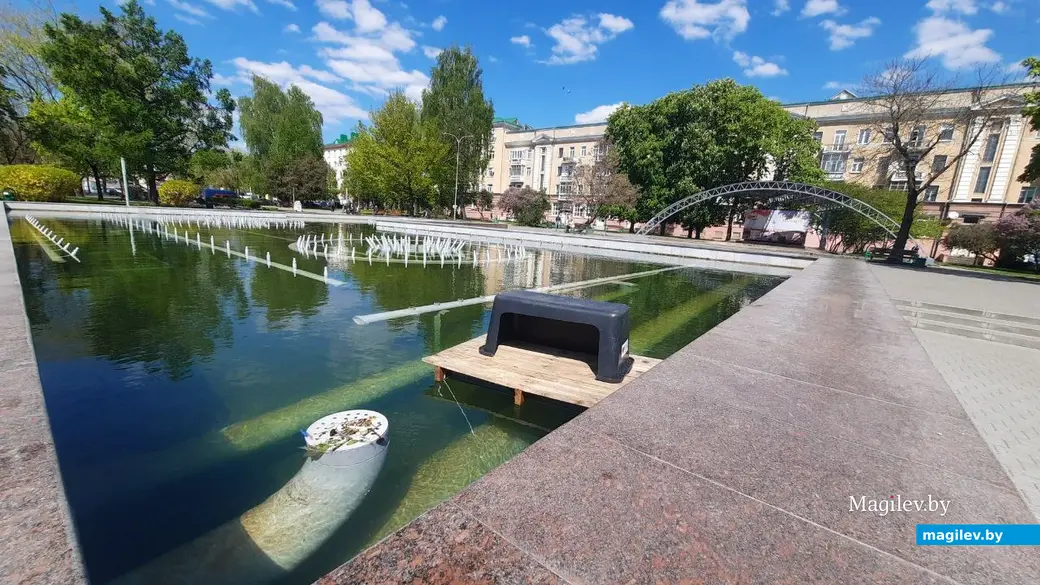 10.05.2023 г. Могилев, сквер 40-летия Победы. В фонтане появился «домик» для уток.