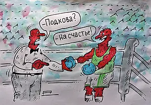 Новости спорта: могилевчанам теперь необходимо  реабилитироваться