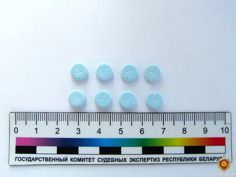 Таблетки с запрещенным веществом исследовали судебные эксперты в Могилеве.