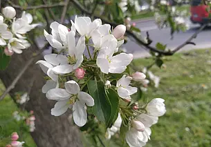 Днем до +27: прогноз погоды на 13-15 мая